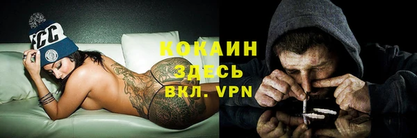 кокс Алексин