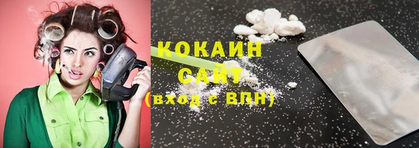 кокс Алексин
