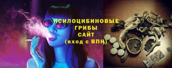 гашик Алзамай