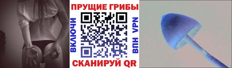Псилоцибиновые грибы ЛСД  Чердынь 